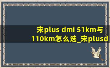 宋plus dmi 51km与110km怎么选_宋plusdmi51km和110km有什么区别